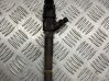 Fuel injector 0445110159