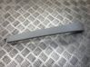 Rear/tail light trim molding 