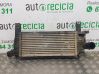 Radiador intercooler 14461EB360