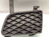 Front bumper lower grill 