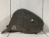 Timing belt guard (cover) 036109121G