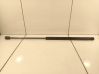 Tailgate/trunk strut/damper 30721320