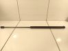 Front bonnet/hood damper/strut 30721320
