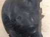 Front wheel arch liner splash guards 7700434541