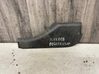 Rear door trim (molding) DGP100960