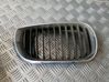Front grill 7030548