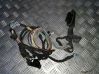 Cableado de puerta trasera 3508099