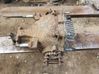 Rear differential NXG5700BA