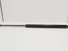 Tailgate/trunk strut/damper 1B62620B