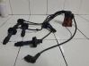 Ignition plug leads 38080411