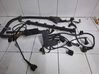 Wiring harness 1439184