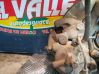 Juego de discos de freno y pinzas 93176426