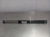 Tailgate/trunk strut/damper E83HK