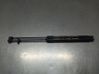 Tailgate/trunk strut/damper 