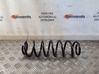 Rear coil spring 