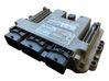 Engine control unit/module 9661204380