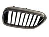 Atrapa chłodnicy / Grill 7390867