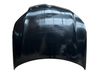 Motorhaube 19460031