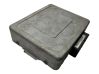 Engine control unit/module P30857282