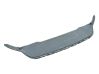 Borde del parachoques delantero 3G0805903E
