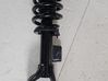Front shock absorber/damper 118836800C