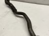 Turbo turbocharger oiling pipe/hose 12814516F