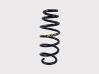 Front coil spring 50515162