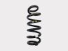 Muelle espiral trasero 50535670