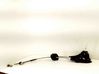 Gear shifter/selector 55491492