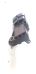 Capteur de pression d'air 0281006576