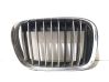 Bonnet/hood grill 815931281695729