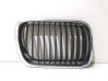 Grille calandre de capot 
