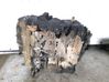 Motor N22A2
