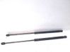 Tailgate strut 7S71A406A10BA