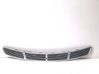 Bonnet/hood grill 2118800005