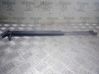 Tailgate/trunk strut/damper 