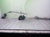 Rear door lock 