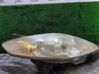 Headlight/headlamp P5115R