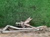 Motor y varillaje del limpiaparabrisas delantero 