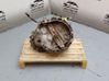 Manual 6 speed gearbox 23008614259