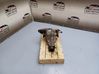 Rear differential 0AR525053D