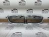 Front grill 7254971
