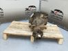 Rear differential 7598855