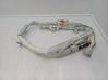 Roof airbag 625609301F