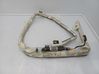 Roof airbag BAMPT11249