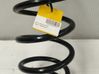Front coil spring 