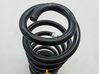Front coil spring 