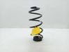 Front coil spring 
