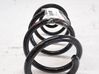 Front coil spring 