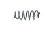 Front coil spring 